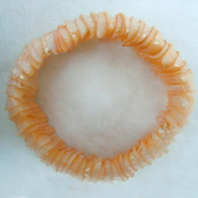 Orange Shell Bracelet Dyed